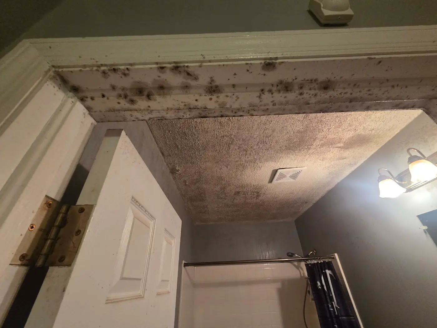 Dark mold spots spreading across a bathroom ceiling and door frame