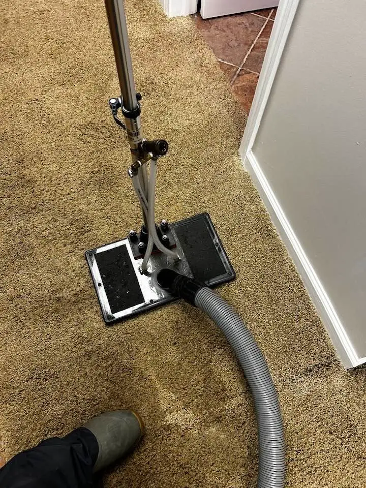 Extraction wand pulling water out of a wet carpet